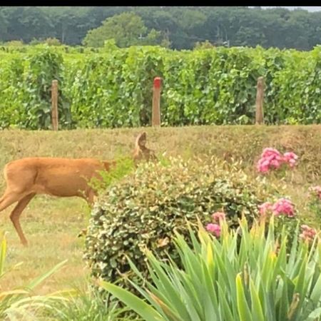 Avre De Paix Sancerrois Leilighet Thauvenay Eksteriør bilde