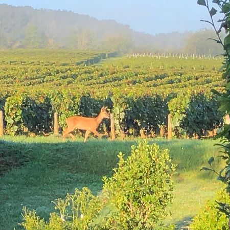 Avre De Paix Sancerrois Leilighet Thauvenay Eksteriør bilde